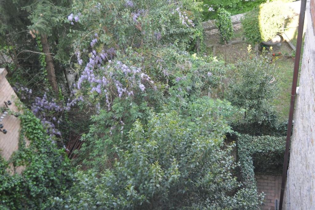 Apartmán Il Profumo Del Lauro Perugia Exteriér fotografie