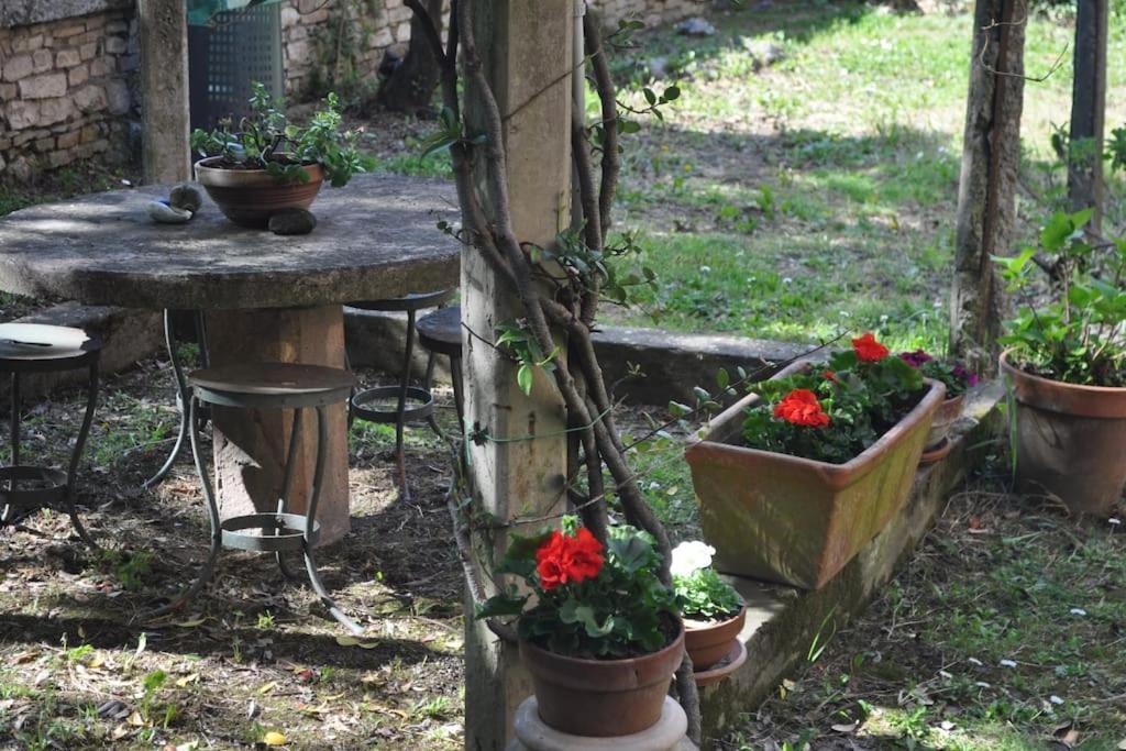 Apartmán Il Profumo Del Lauro Perugia Exteriér fotografie
